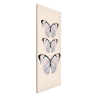 Tableau magnétique - Butterfly On Beige