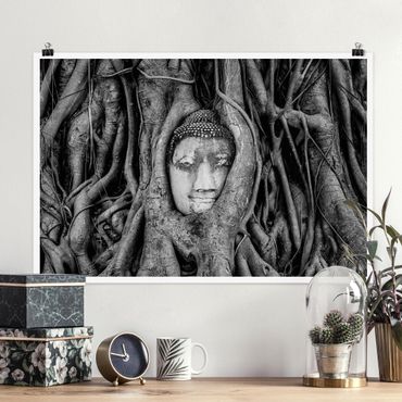 Poster - Buddha In Ayutthaya Lined From Tree Roots In Black And White