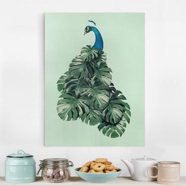Tableau sur toile - Peacock With Monstera Leaves