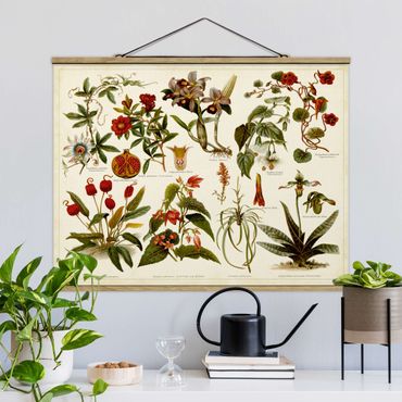 Tableau en tissu avec porte-affiche - Vintage Board Tropical Botany II