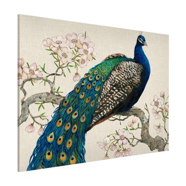Tableau magnétique - Vintage Peacock With Cherry Blossoms