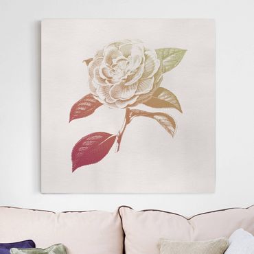 Impression sur toile - Modern Vintage Botanik Rose Red Green