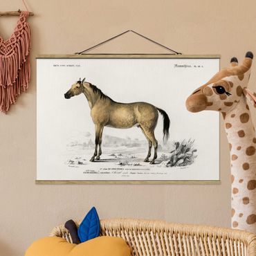 Tableau en tissu avec porte-affiche - Vintage Board Horse