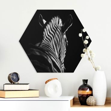 Hexagone en forex - Dark Zebra Silhouette