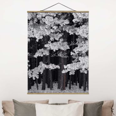 Tableau en tissu avec porte-affiche - Forest With Hoarfrost In Austria