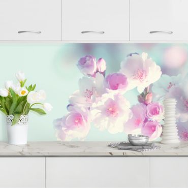 Revêtement mural cuisine - Colourful Cherry Blossoms