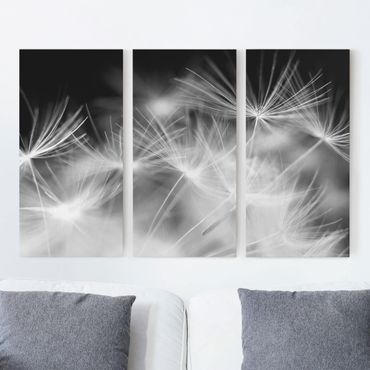 Impression sur toile 3 parties - Moving Dandelions Close Up On Black Background