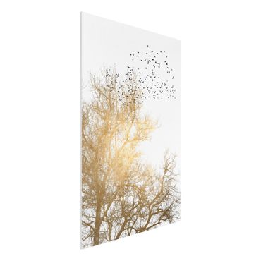Impression sur forex - Flock Of Birds In Front Of Golden Tree