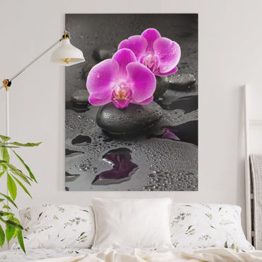 Impression sur toile - Pink Orchid Flower On Stones With Drops