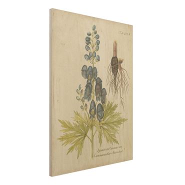 Impression sur bois - Vintage Botany In Blue Monkshood