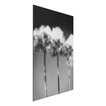 Impression sur aluminium - Palm Trees Against The Sky Black And White