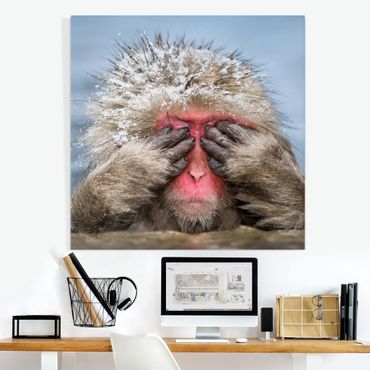 Impression sur toile - Japanese Macaque