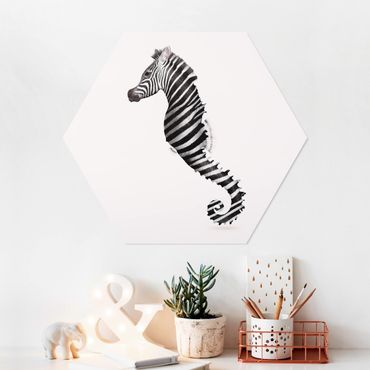 Hexagone en forex - Seahorse With Zebra Stripes