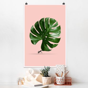 Poster animaux - Ant With Monstera Leaf