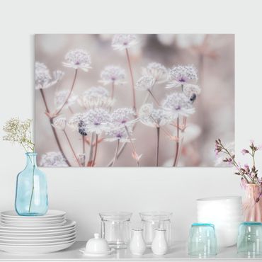 Tableau sur toile - Wild Flowers Light As A Feather