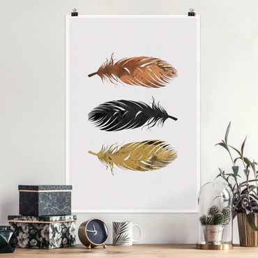 Poster - Feathers