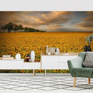 Papier peint - Field With Sunflowers