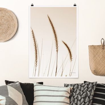Poster reproduction - Field grass in sepia II