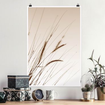 Poster reproduction - Field grass in sepia
