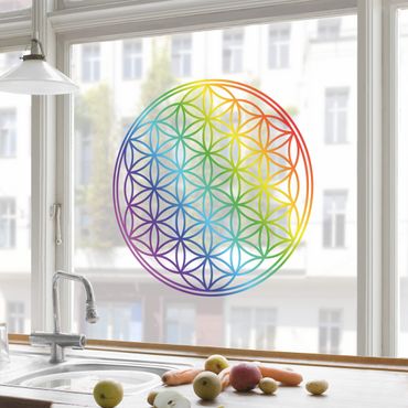 Sticker pour fenêtres - Flower of Life rainbow color