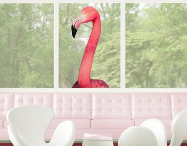 Sticker pour fenêtres - Prying Flamingo