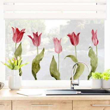 Sticker pour fenêtres - Red Tulips Watercolour