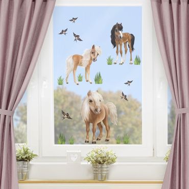 Sticker pour fenêtres - Set Horses