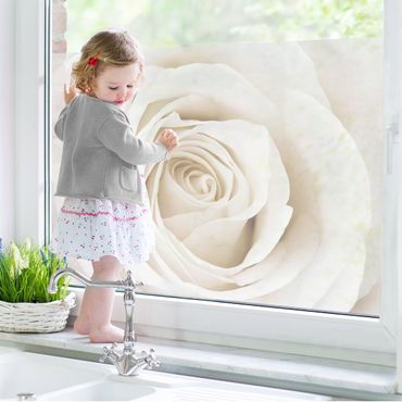 Décoration pour fenêtres - Pretty White Rose