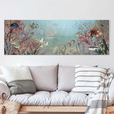 Impression sur toile - Vue de loin dans le récif corallien - Panorama 3:1
