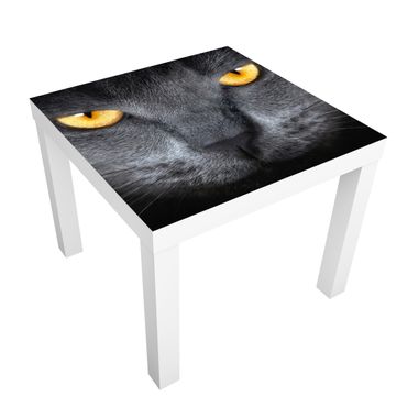 Papier adhésif pour meuble IKEA - Lack table d'appoint - Cat's Gaze