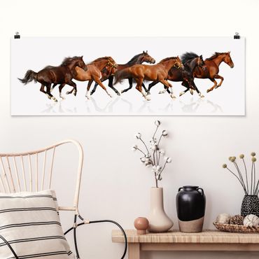 Poster chambre enfant - Horse Herd