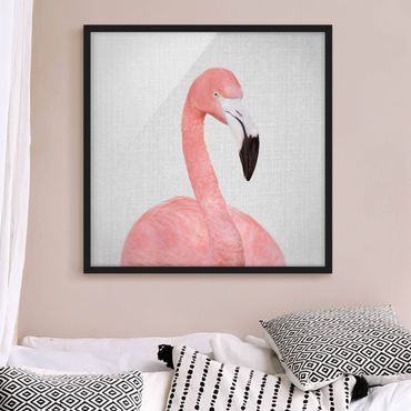Poster encadré - Flamingo Fabian