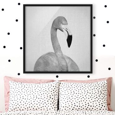 Poster encadré - Flamingo Fabian Black And White