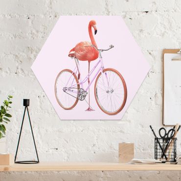 Hexagone en forex - Flamingo With High Heels