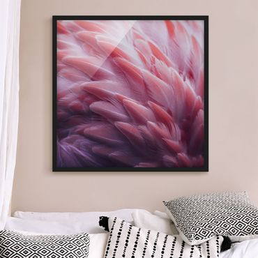 Framed poster - Flamingo Feathers Close-Up