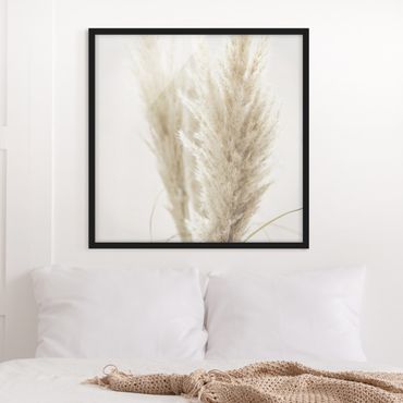 Framed poster - Soft Pampas Grass