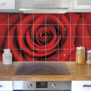 Sticker pour carrelage - Red rose with water drops