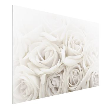 Tableau en forex - White Roses