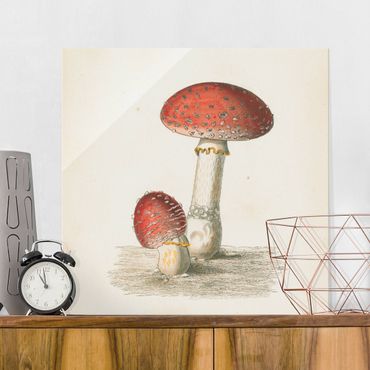 Tableau en verre - French mushrooms II