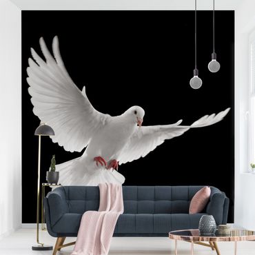 Papier peint - Dove Of Peace