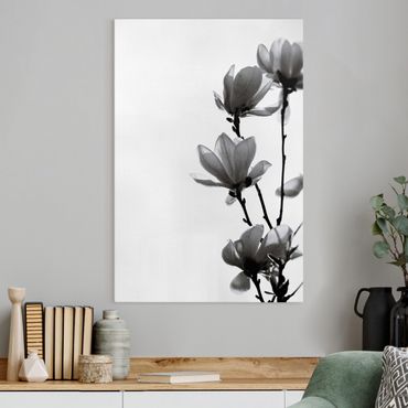 Tableau sur toile - Herald Of Spring Magnolia Black And White