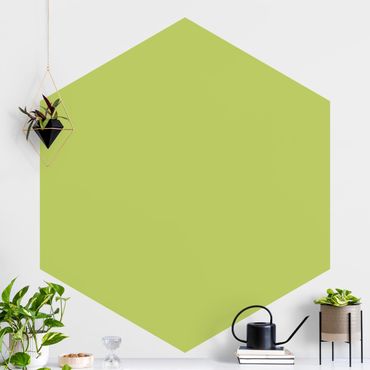 Papier peint hexagonal autocollant avec dessins - Spring Green