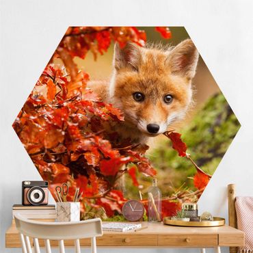 Papier peint hexagonal autocollant avec dessins - Fox In Autumn