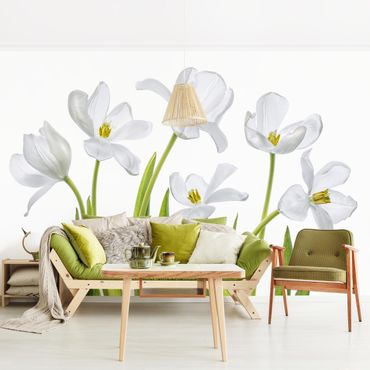 Papier peint - Five White Tulips