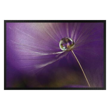 Paillasson - Dandelion In Violet
