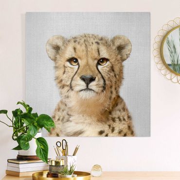 Tableau sur toile - Cheetah Gerald - Carré 1:1