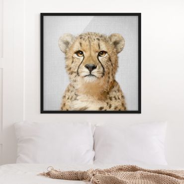 Poster encadré - Cheetah Gerald