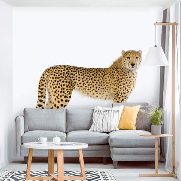 Papier peint - Cheetah