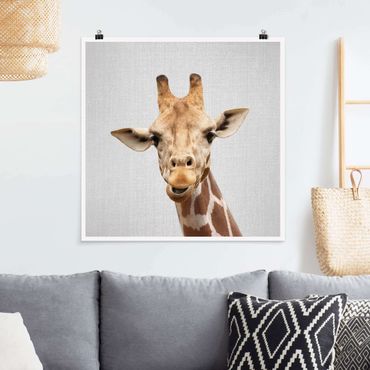 Poster reproduction - Giraffe Gundel