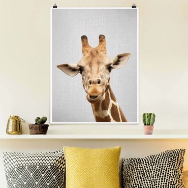 Poster reproduction - Giraffe Gundel